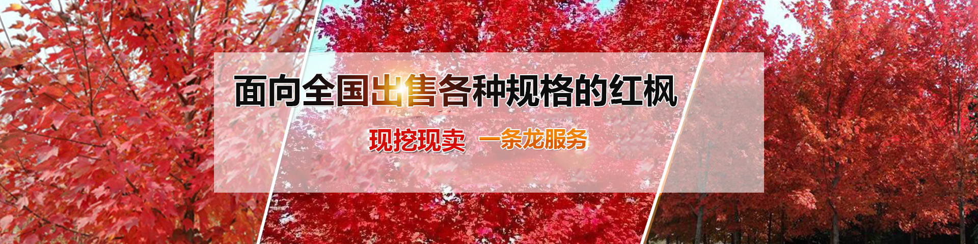 魚臺縣清達精細化工有限公司